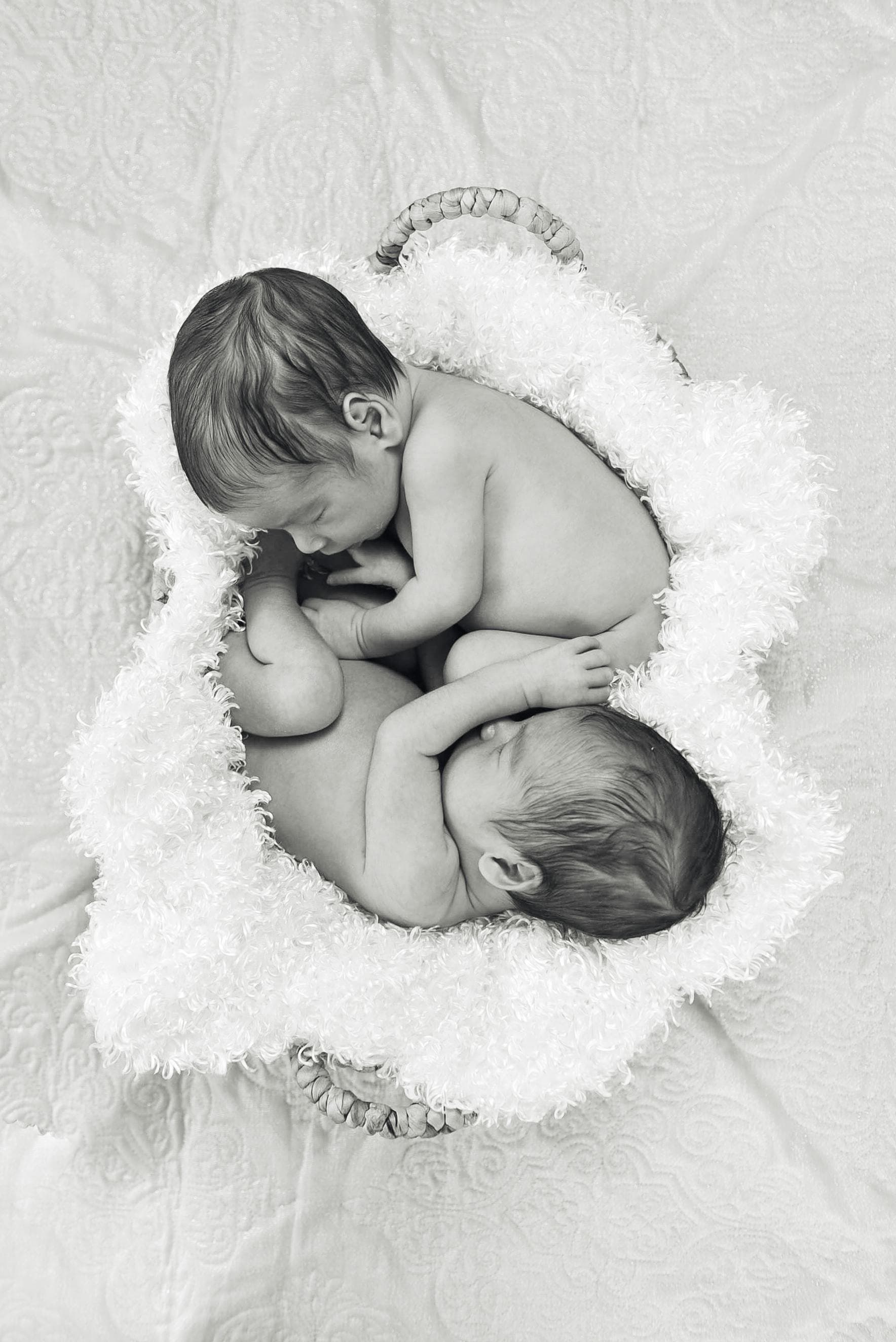 Newborn twins sleeping peacefully, curled together in a soft, white, fluffy basket.